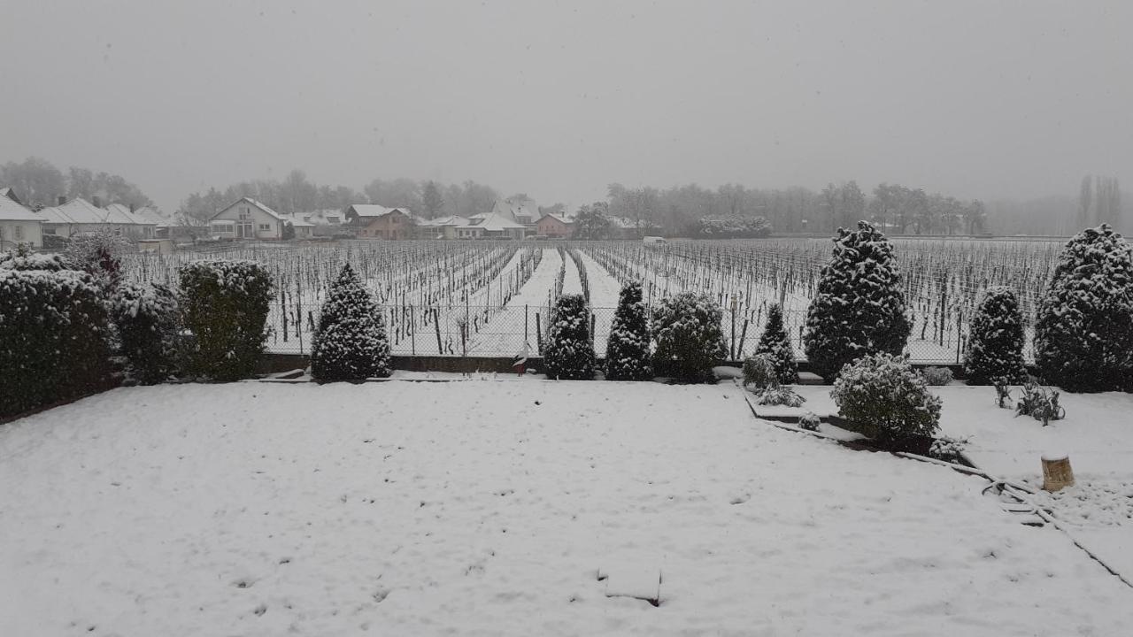 Aux Pieds Des Vignes Bed & Breakfast Ingersheim Exterior photo